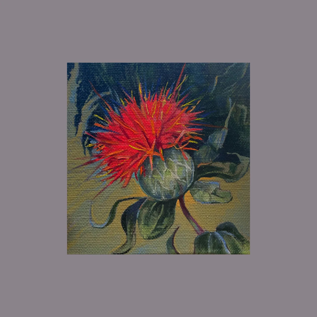 The Safflower