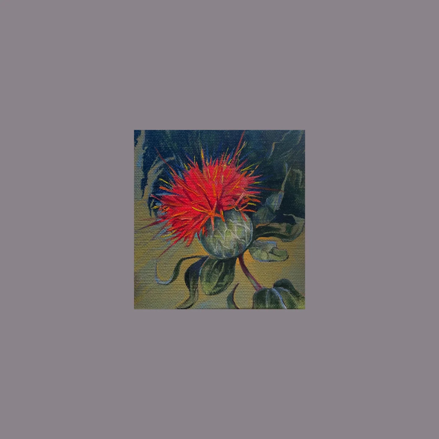 The Safflower