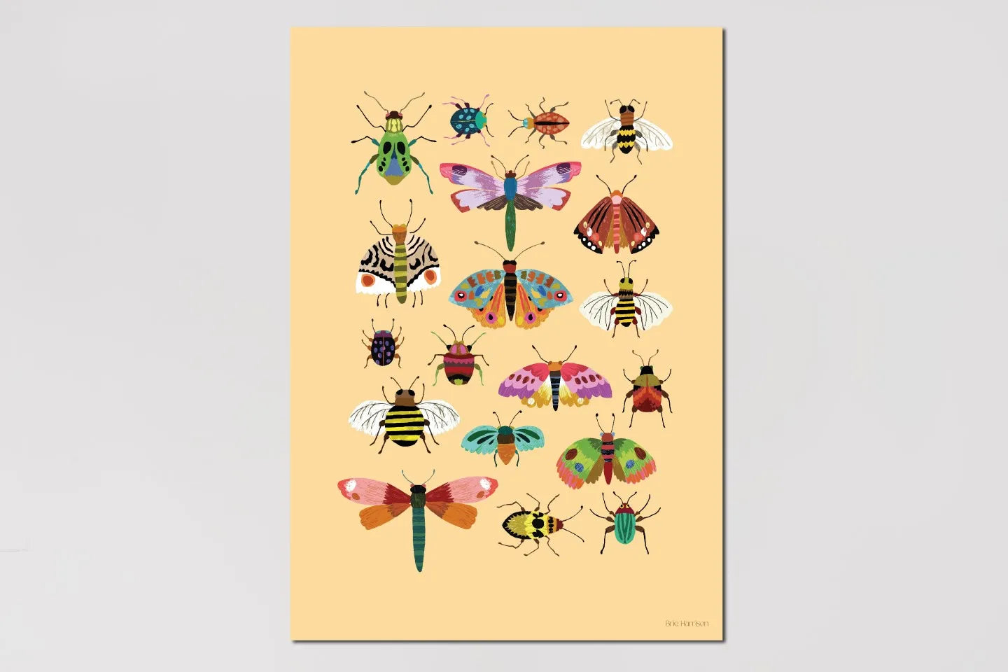 Insects Print A4