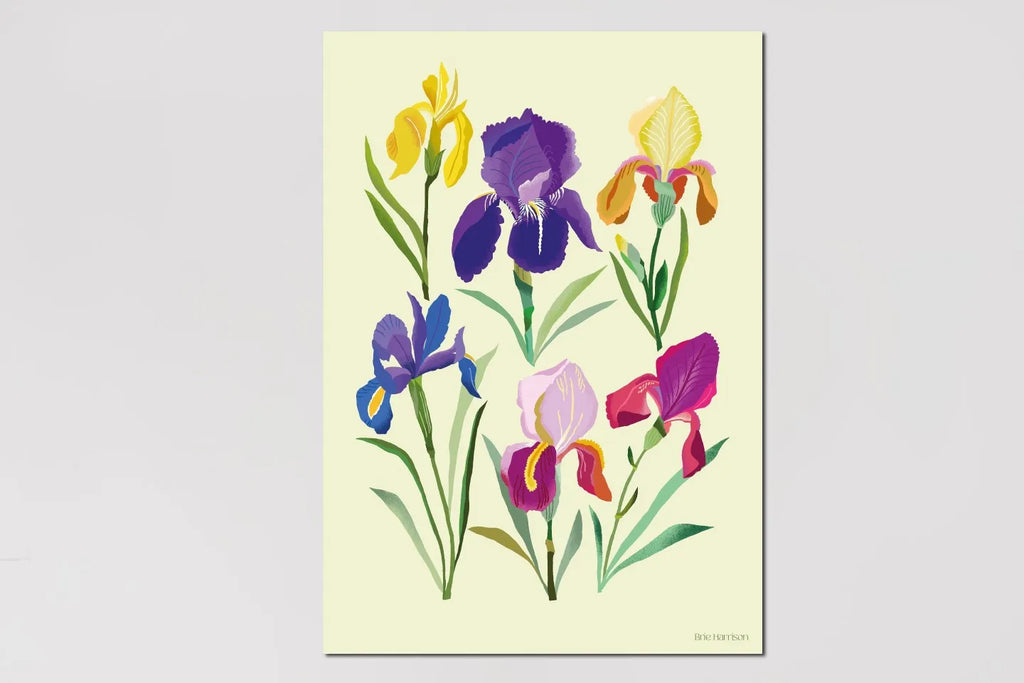 Irises Print