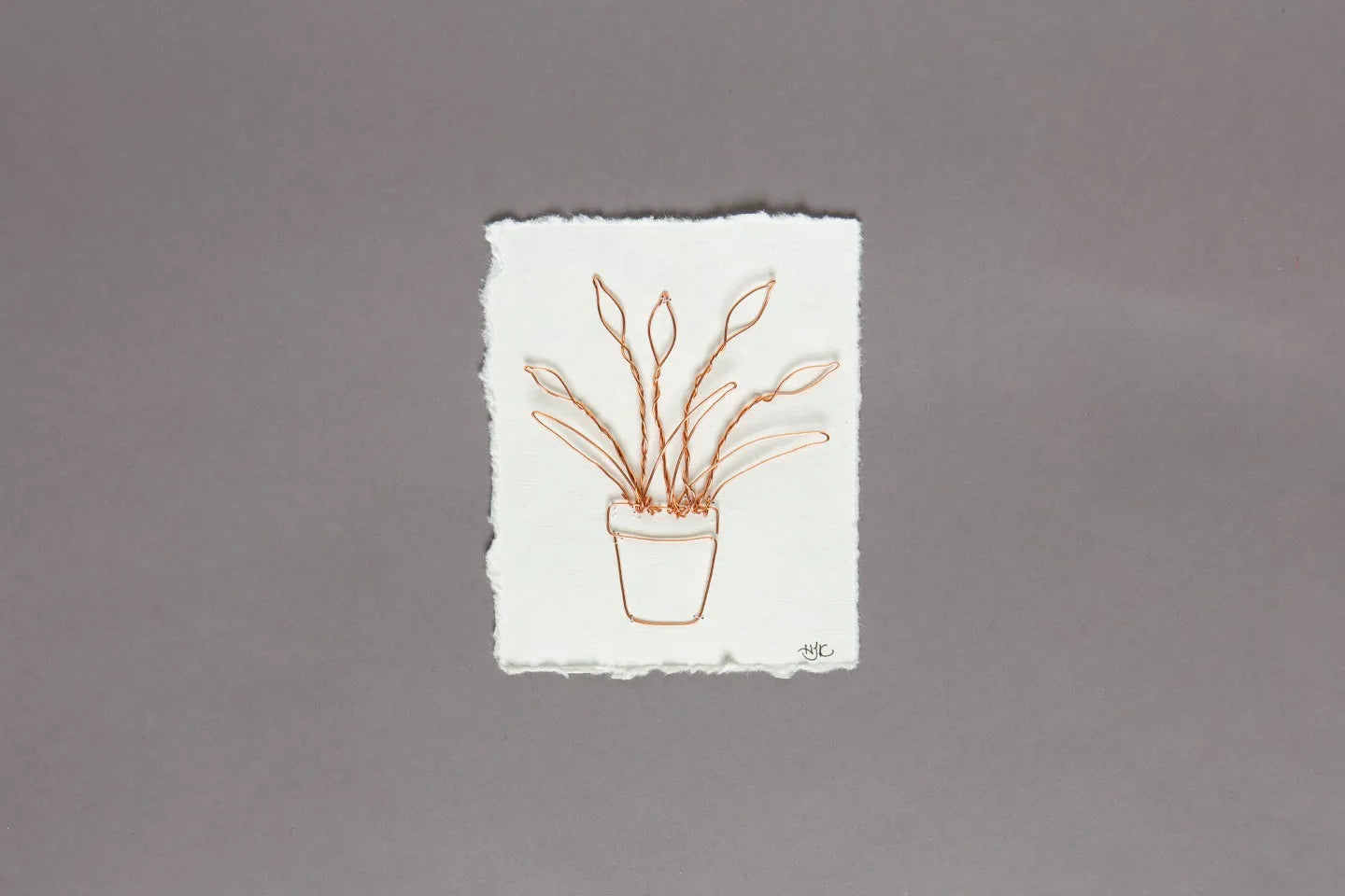 Potted Plant in Copper