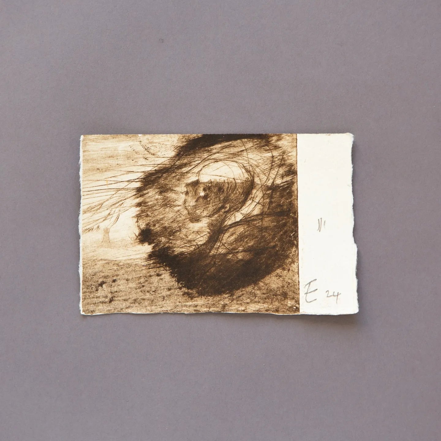 A Thousand Tides Fragment