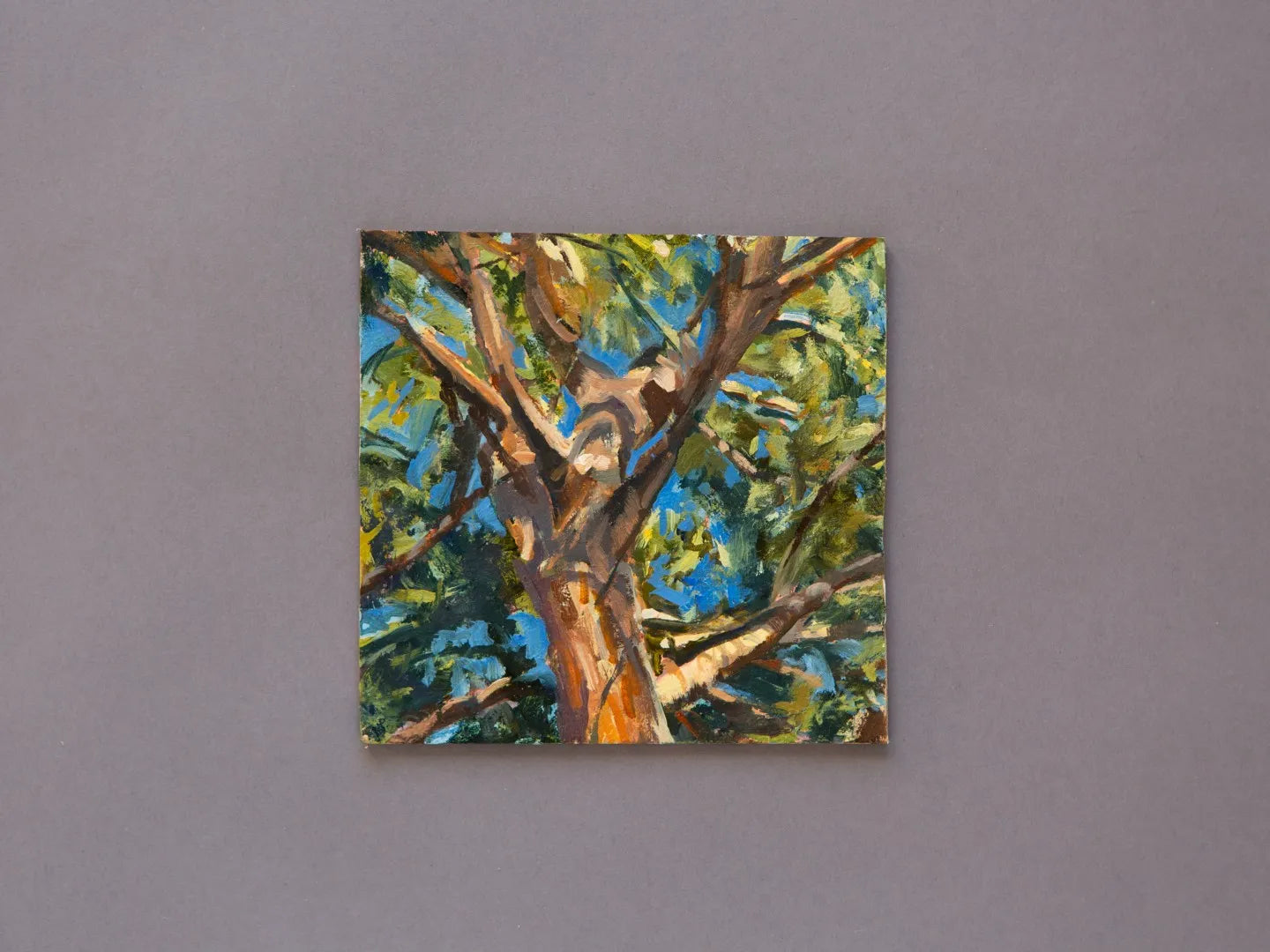 Autumnal Puglian Pine