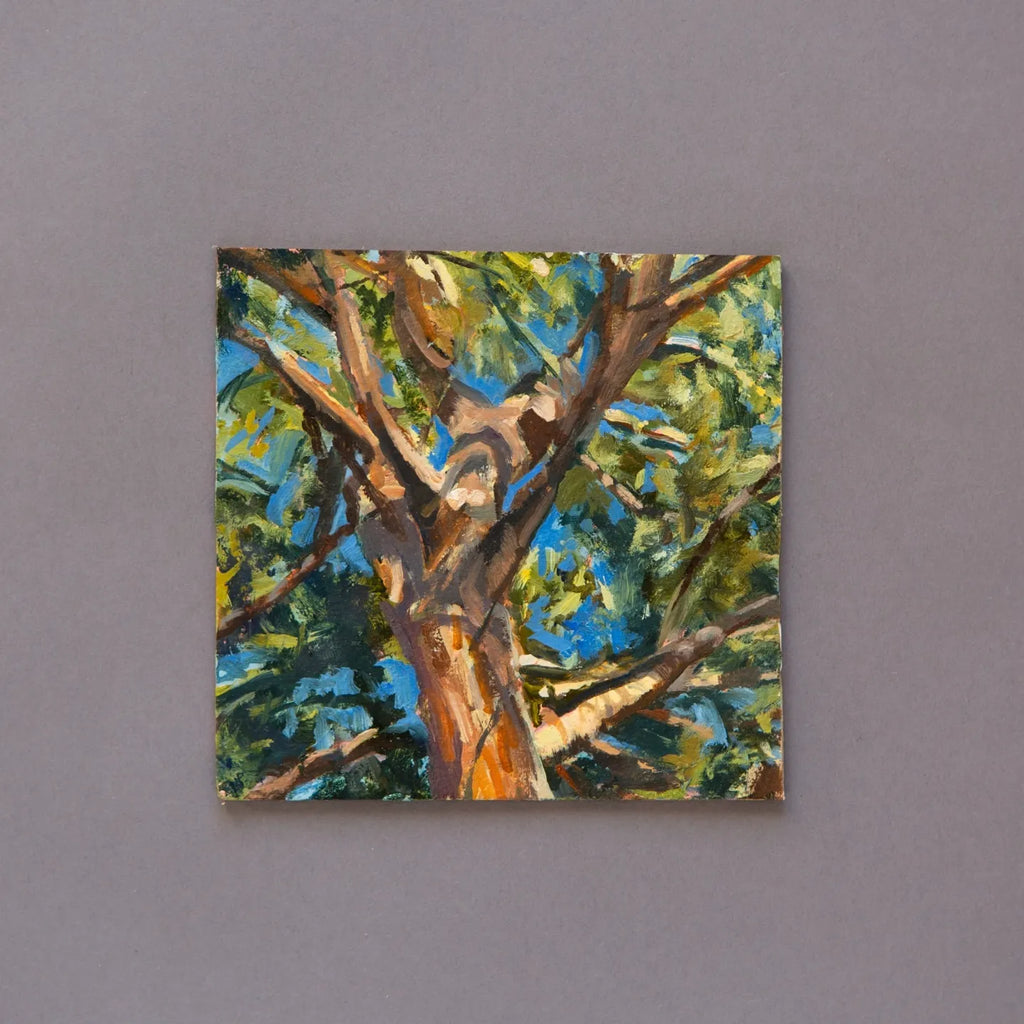 Autumnal Puglian Pine